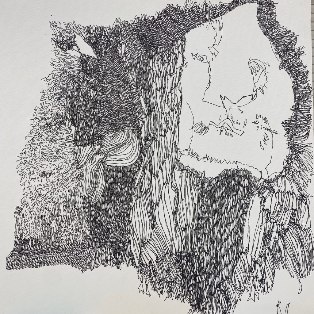 中道一輝 ライオン